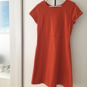 Everlane Tee Dress